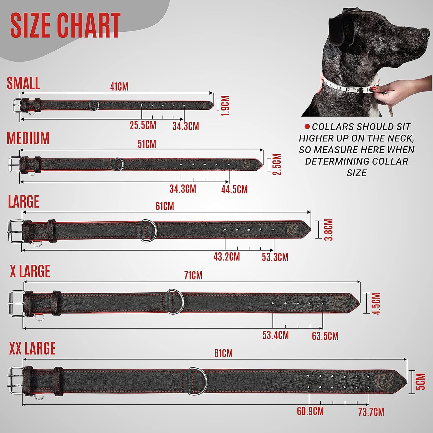 Riparo Dog Collars for Medium Dogs, Genuine Leather Dog Collar, Medium Dog Collar (M: 1" Wide for 13.5”-17.5” Neck, Black/Red Thread)