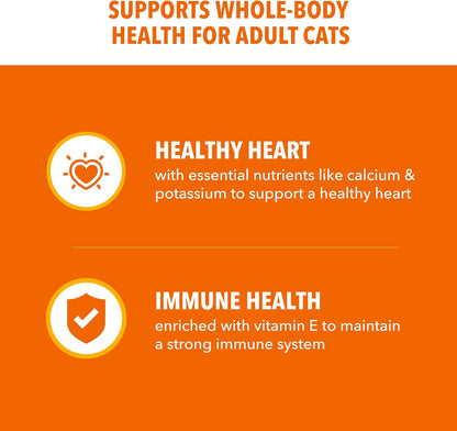 Proactive Health Dry Cat Food, Healthy Cat Food Dry Recipe for Adults, Salmon, 7 Lb. Bag